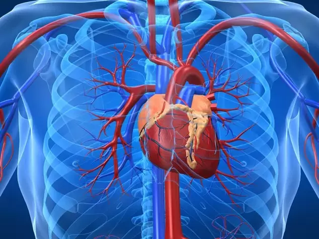 Styrkeforøgende øvelser er kontraindiceret ved hjertesygdomme