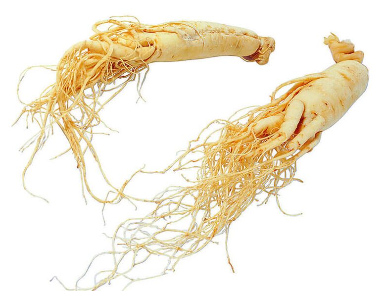 ginseng rod for potens